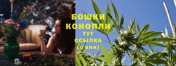 ешки Белокуриха