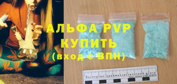 ECSTASY Богданович